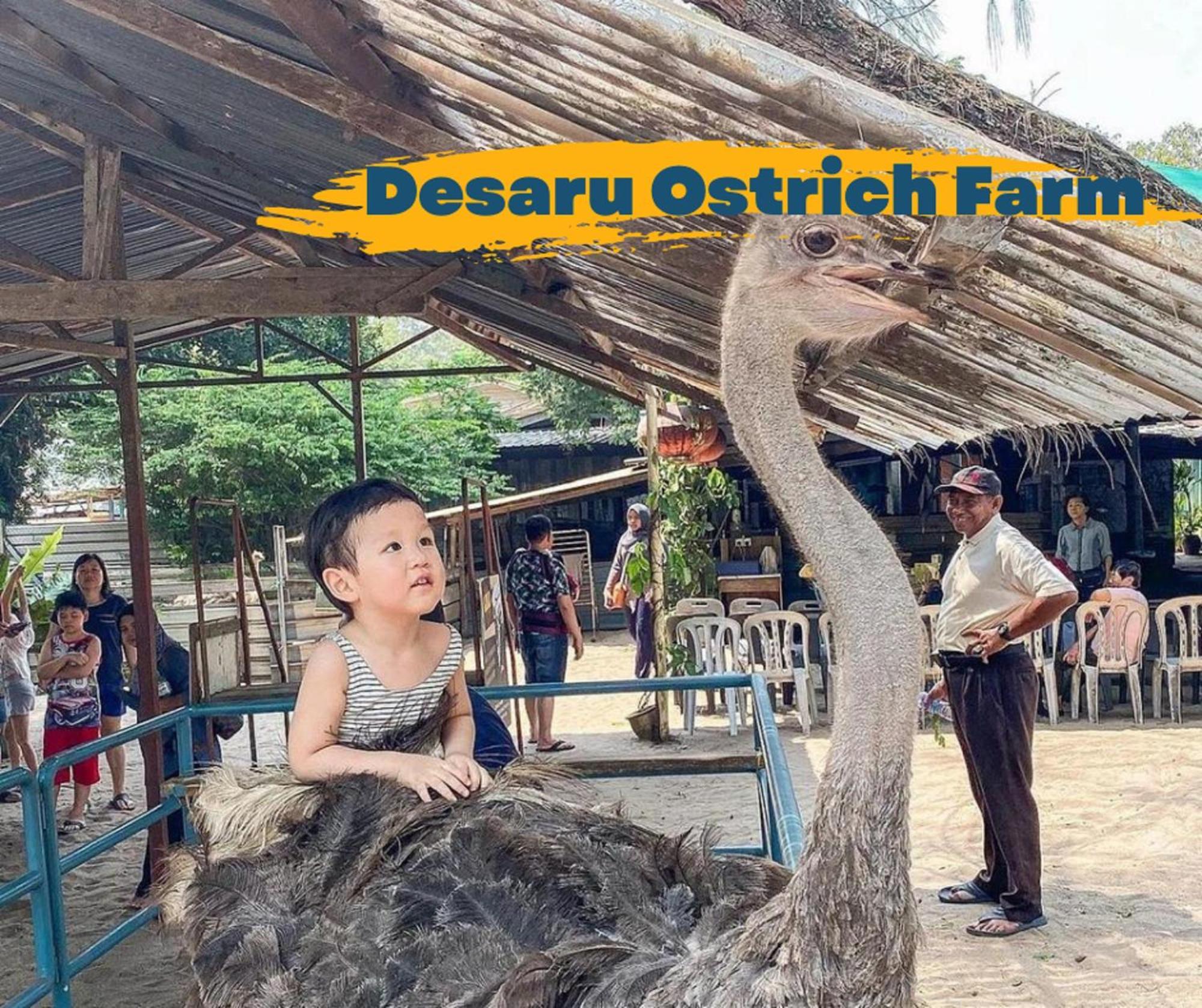 Desaru Johor By Glex Villa Kültér fotó